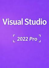 MS Visual Studio 2022 Professional CD Key Global